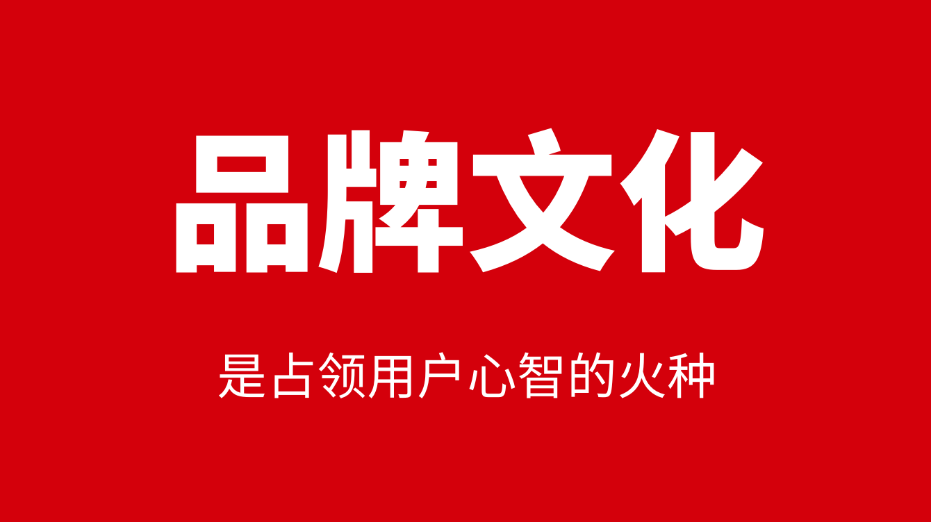 大品连策 | 品牌文化是占领用户心智的火种(图7)